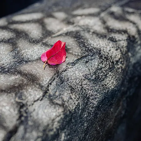 Appartamento Blue Dream - Santorini