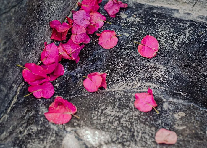 Blue Dream - Santorini Apartman