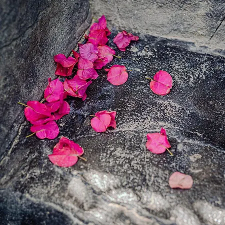 Blue Dream - Santorini Lägenhet