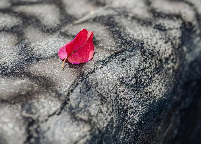 Lägenhet Blue Dream - Santorini